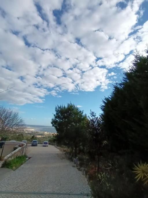 Casa Na Floresta Figueira da Foz Buitenkant foto