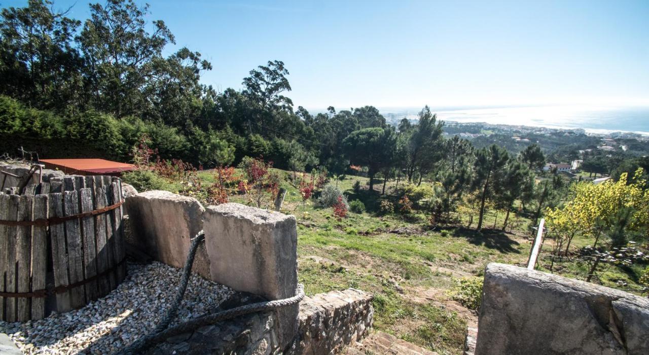 Casa Na Floresta Figueira da Foz Buitenkant foto
