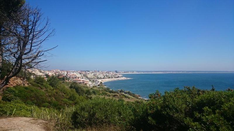 Casa Na Floresta Figueira da Foz Buitenkant foto